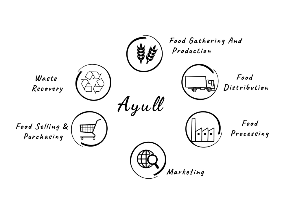 Ayull - We Craft Healthy Food Products