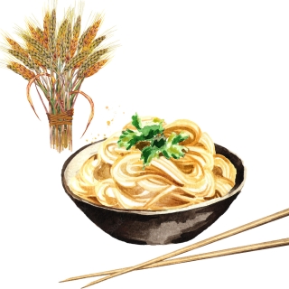 AYULL_WHEAT_NOODLES_180G