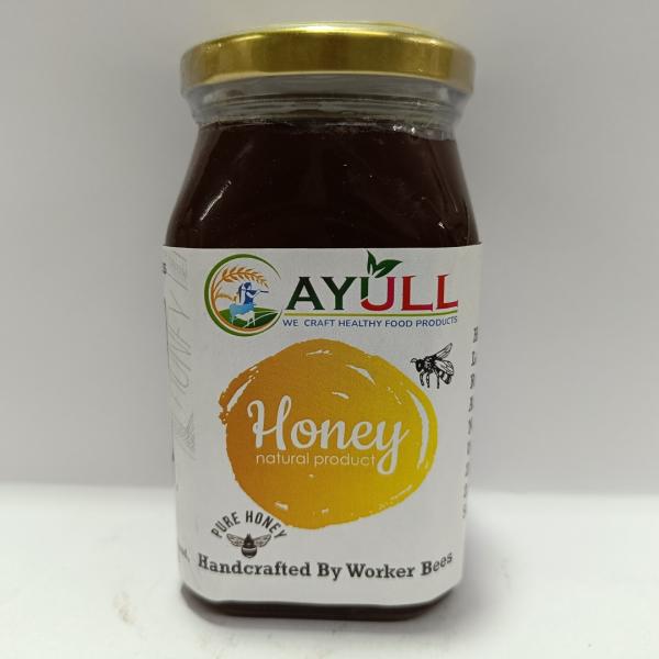 _AYULL_HONEY_500G