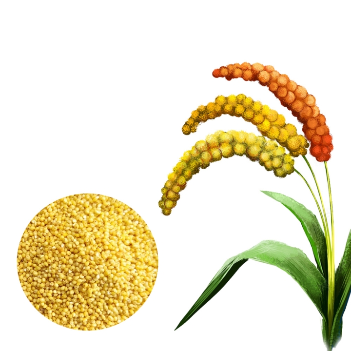 AYULL_PROSO_MILLET_(PANIVARAGU_BARAGU_BARRI)_1KG_