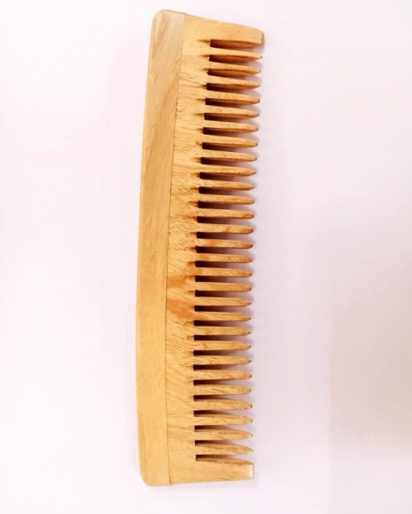 NEEM_COMB_MODEL_A_